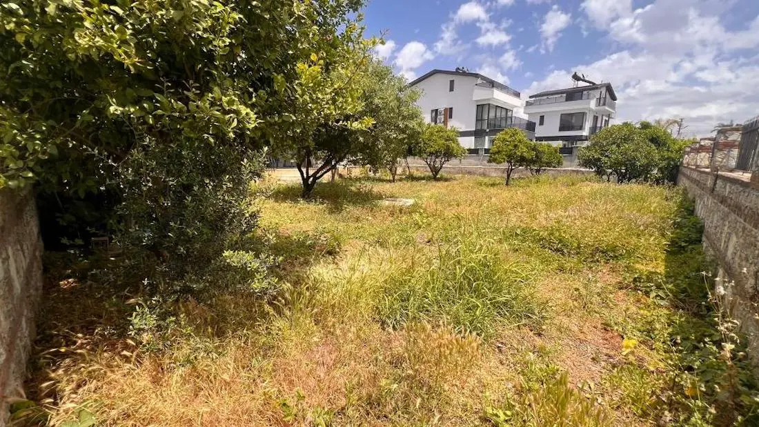 Garden area